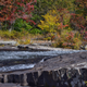 Illustration for article titled Fall Photos 1